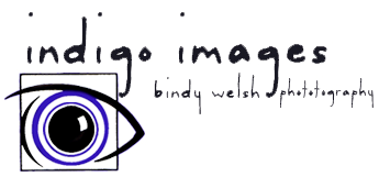 Indigo Images