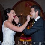 All Saints Estate Winery wedding of Bri and Kale Watkins